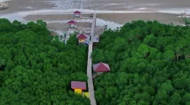 Ekowisata mangrove menyalamagkan desa dari ancaman kerusakan. (Foto: @enjoypamekasan)