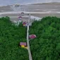 Ekowisata mangrove menyalamagkan desa dari ancaman kerusakan. (Foto: @enjoypamekasan)