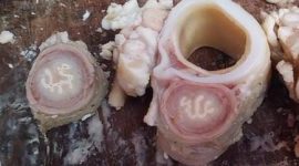 Potongan daging sapi tersebut menampilkan lafadz Allah dan Muhammad dalam bahasa Arab. Keduanya terlihat pada dua potongan daging sapi terpisah berwarna putih tulang dengan latar belakang kemerahan. (Foto: Fauzi)