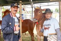 Fattah Jasin, Wakil Bupati Pamekasan, memberikan penghargaan berupa piagam kepada pemerhati Sapi Madura sebagai ungkapan terima kasih atas kepedulian mereka terhadap pelestarian Sapi Madura.