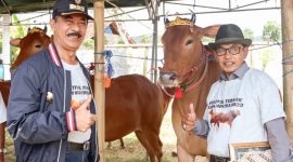 Fattah Jasin, Wakil Bupati Pamekasan, memberikan penghargaan berupa piagam kepada pemerhati Sapi Madura sebagai ungkapan terima kasih atas kepedulian mereka terhadap pelestarian Sapi Madura.