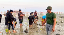 Cintai lingkuang, Kolaborasi Mahasisiswa jaga ekosistem pohon magrove.