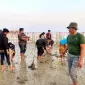 Cintai lingkuang, Kolaborasi Mahasisiswa jaga ekosistem pohon magrove.
