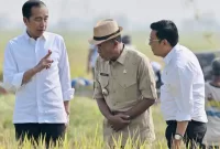 Perhatian Maksimal dari Presiden Jokowi: Mengawal Panen Raya Padi dan Mengamankan Pasokan Cadangan Beras Nasional!