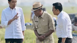 Perhatian Maksimal dari Presiden Jokowi: Mengawal Panen Raya Padi dan Mengamankan Pasokan Cadangan Beras Nasional!