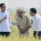 Perhatian Maksimal dari Presiden Jokowi: Mengawal Panen Raya Padi dan Mengamankan Pasokan Cadangan Beras Nasional!