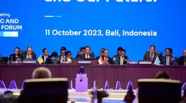 Presiden menyampaikan komitmen Indonesia yang konsisten dalam menyuarakan kepentingan negara kepulauan dan negara berkembang dalam forum internasional.