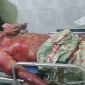 Asmoni, Korban pembacokan mengalami luka parah di bagian leher dan sempat dilarikan ke rumah sakit.