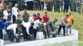 Menurut Ma'ruf, lahan tidur di Indonesia mencapai sekitar 7 juta hektare.