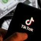 .

Perlu diingat bahwa kalkulator uang TikTok hanya memberikan perkiraan penghasilan.