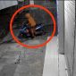 Saat maling melancarkan aksinya Dok. Rekaman CCTV 