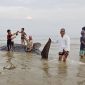 Warga Desa Batukerbuy, Kecamatan Pasean, Pamekasan sedang pose foto mengabadikan momen saat ada bangkai hiu terdampar di Pesisir Pantai Pasean.