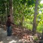 Abul Khair menunjukan tanah warisan leluhurnya yang disengketa.