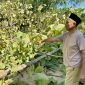 Moh. Safii menunjukkan sejumlah pohon jati miliknya yang ditebang tanpa izin.