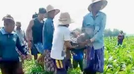 Seorang petani bernama Muhham (51 tahun) ditemukan meninggal dunia di dalam penampungan air di pinggir sawahnya di Desa Batukalangan, Kecamatan Proppo, Kabupaten Pamekasan