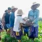 Seorang petani bernama Muhham (51 tahun) ditemukan meninggal dunia di dalam penampungan air di pinggir sawahnya di Desa Batukalangan, Kecamatan Proppo, Kabupaten Pamekasan