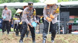 Polres Pamekasan, Penanaman Jagung, Forkompimda
