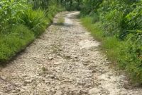 Rusak parah! jalan poros desa Dempoh Barat, Pamekasan.