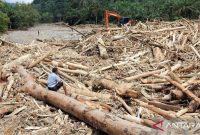 Foto: antaranews.com