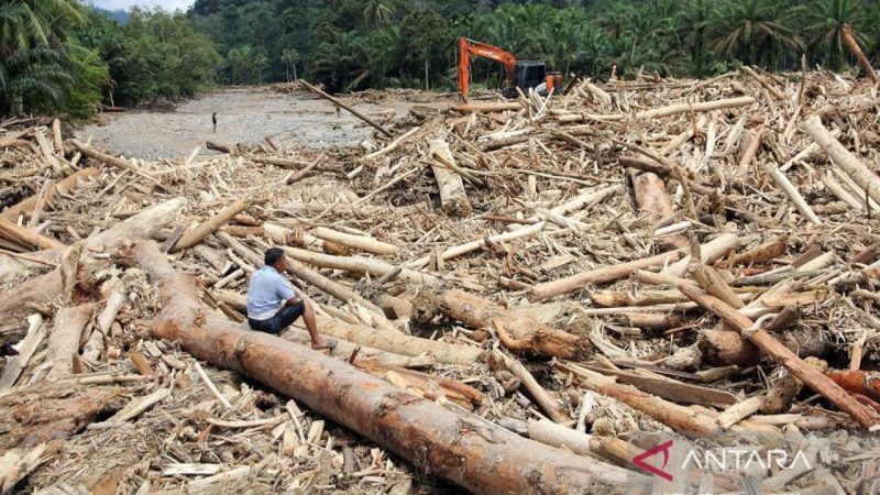 Foto: antaranews.com