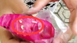 Menu MBG di Pamekasan ditemukan berulat.