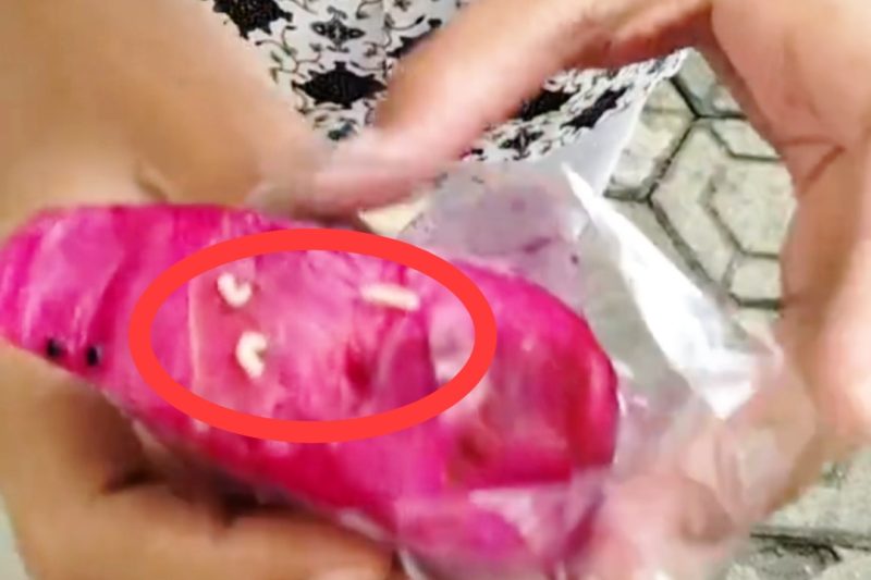 Menu MBG di Pamekasan ditemukan berulat.